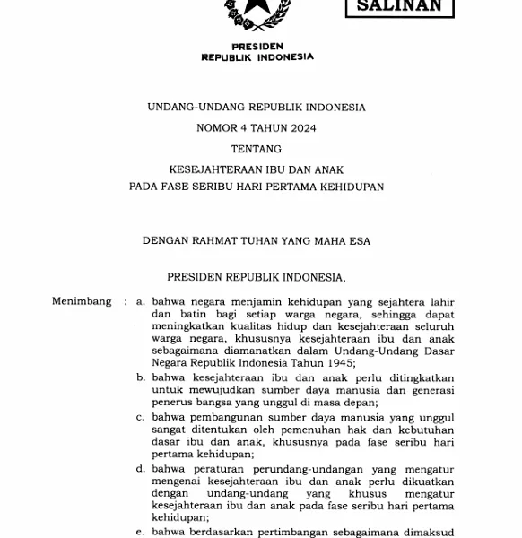 UU Nomor 4 Tahun 2024 thumbnail